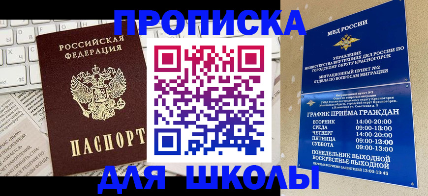 прописка законно в Сольцах