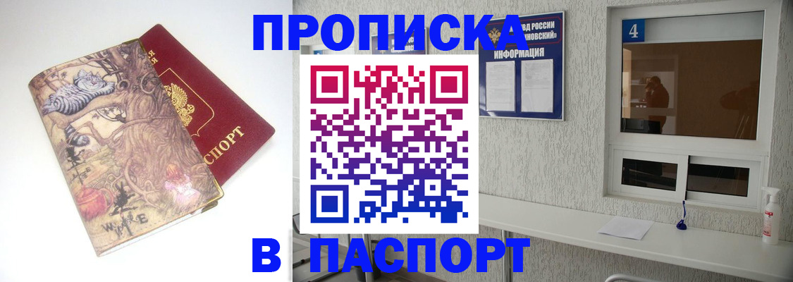 найти адрес прописки в Сольцах